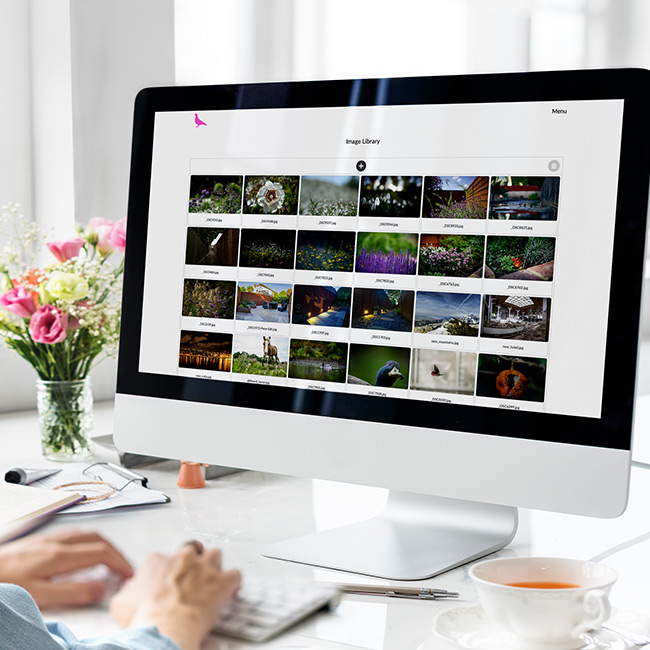 CMS Image Library viewed on an iMac screen