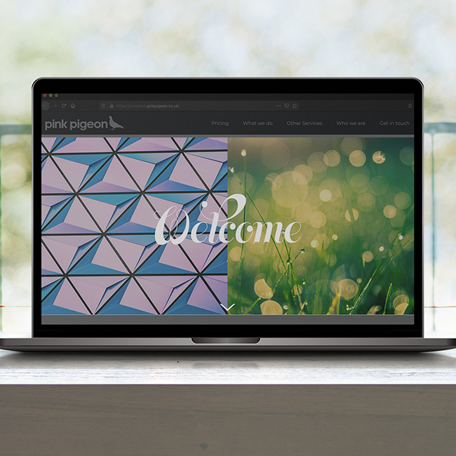 Image of Header - Image Overlay, Double Image Module