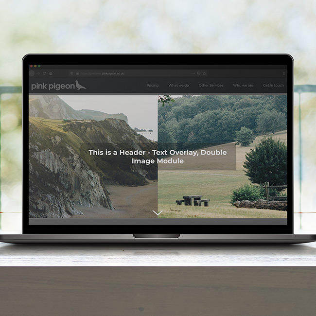 Image of Header - Text Overlay, Double Image 