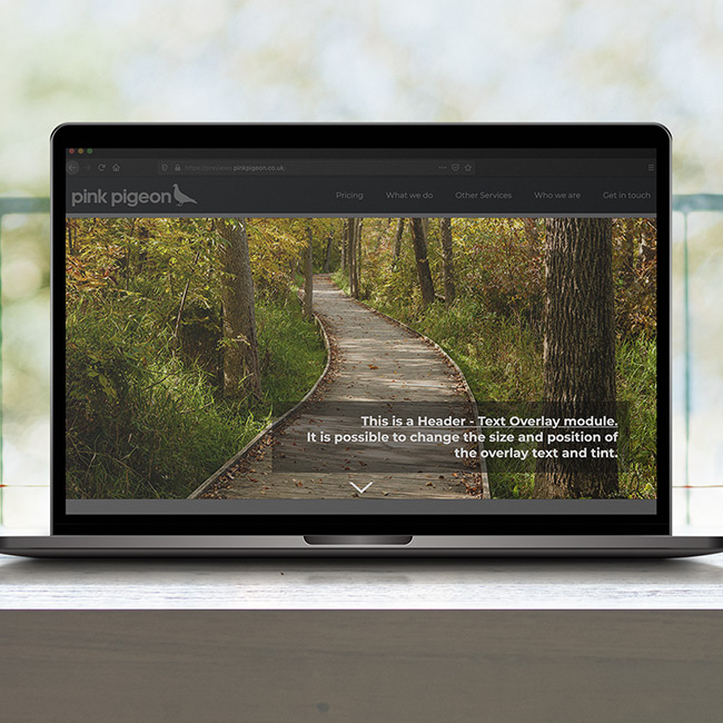 Image of Header - Text Overlay Module