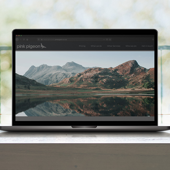 Image of Image Only - Standard Module