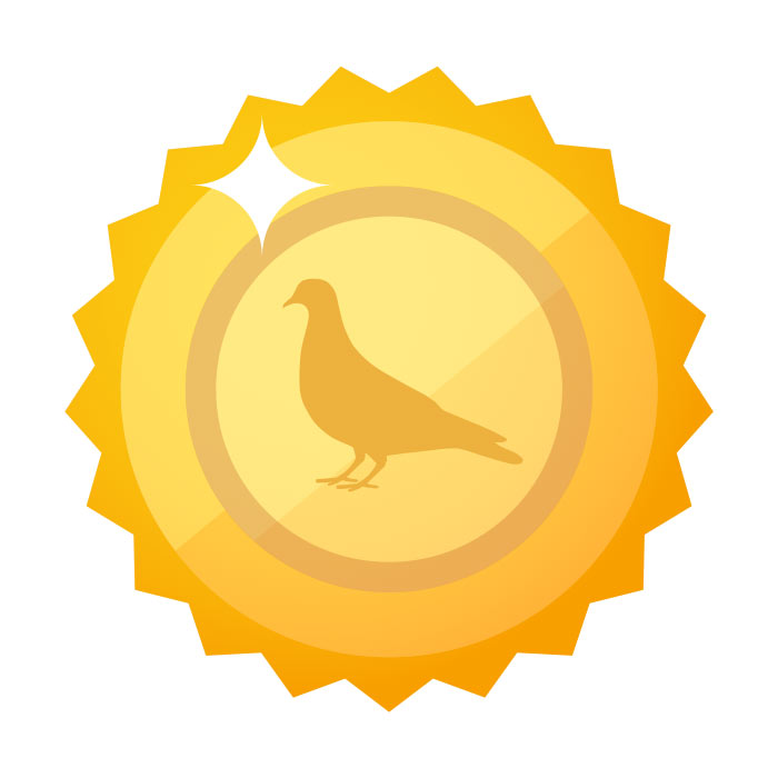 Gold Pigeon