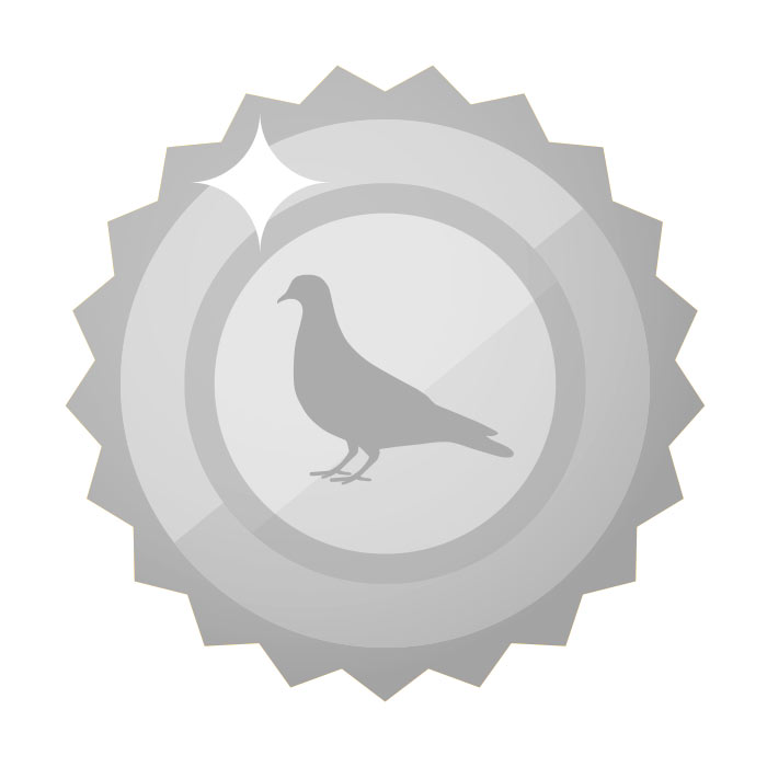 Silver Pigeon