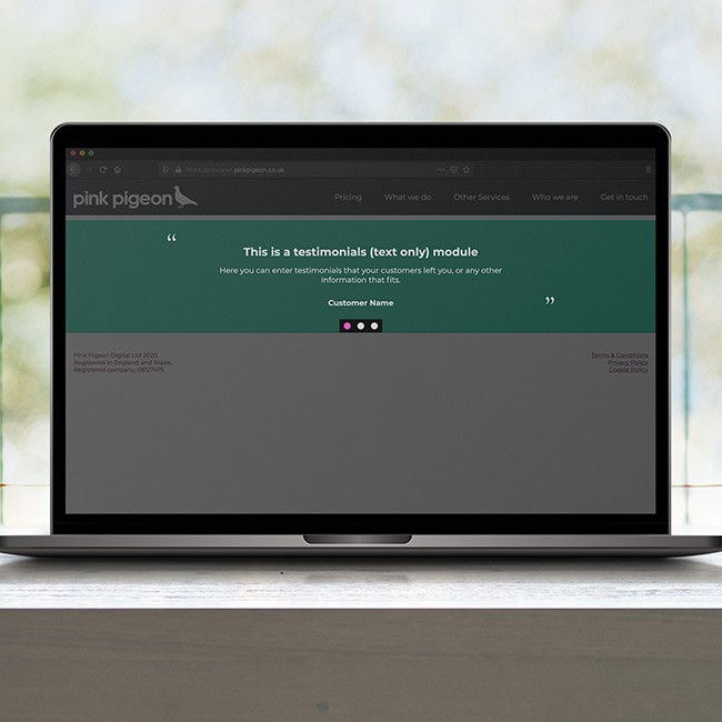 Image of Testimonials - Text Only Module