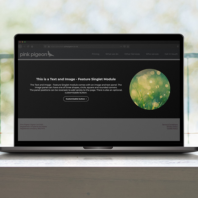Image of Text and Image - Feature Singlet Module