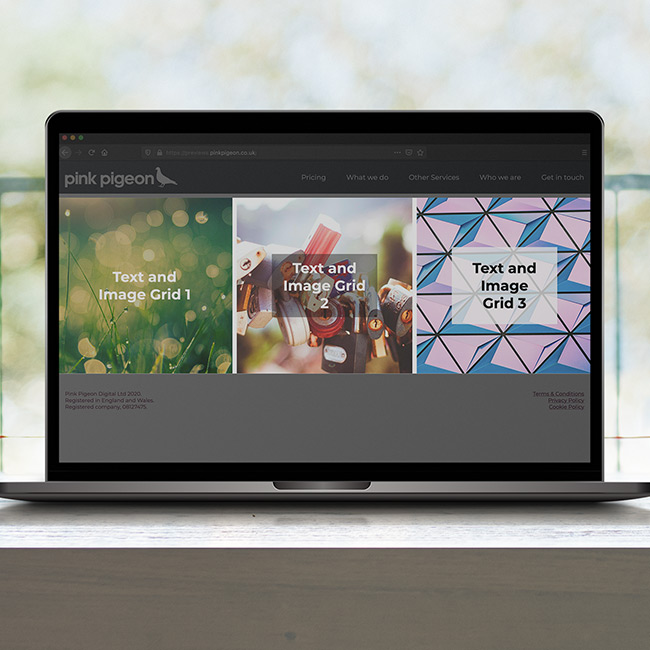 Image of Text and Image - Grid Module