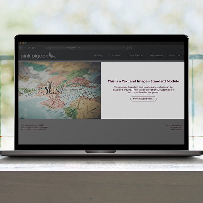 Image of Text and Image - Standard Module