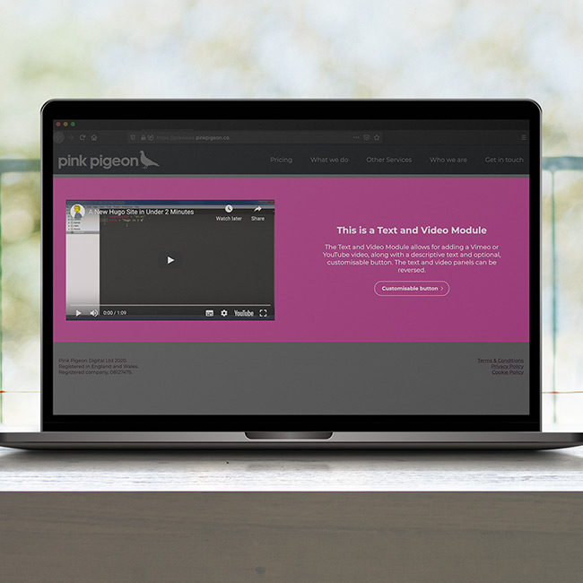 Image of Text and Video Module