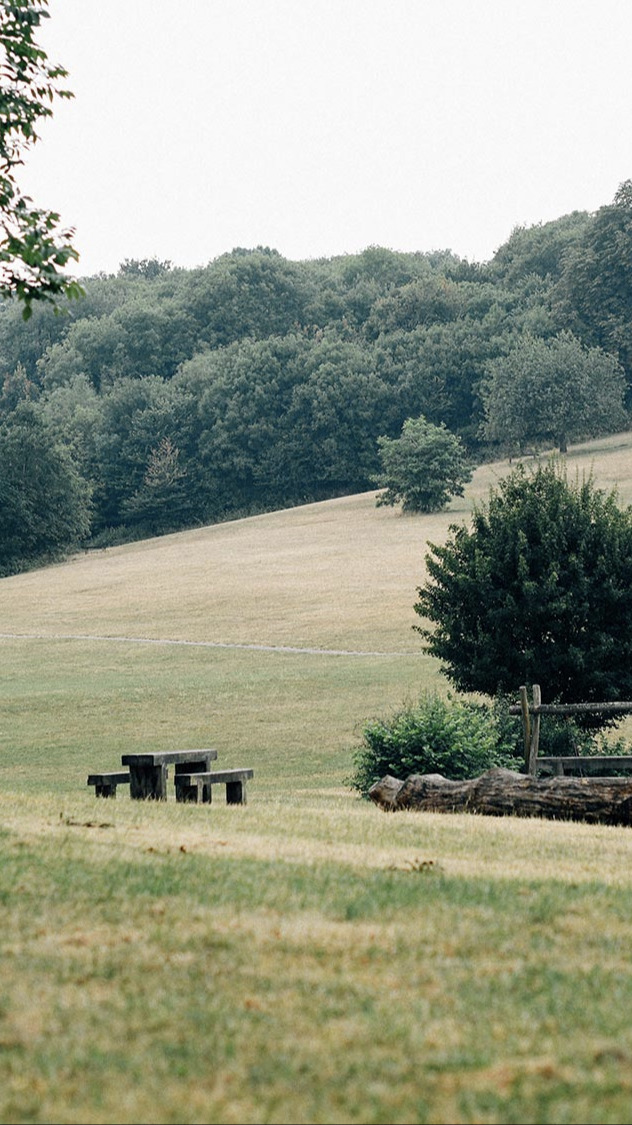 Summer countryside vista